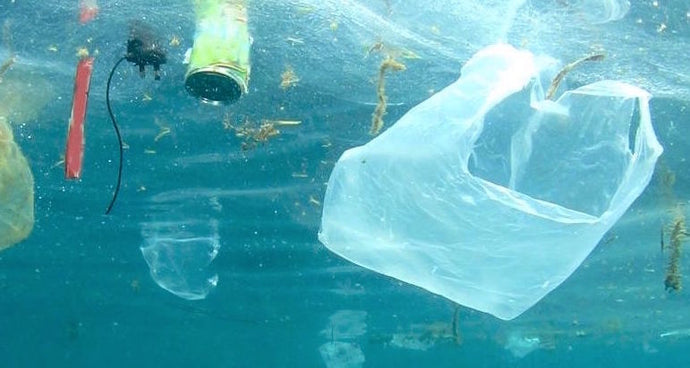 4 Easy Ways To Reduce Plastic Ocean Pollution